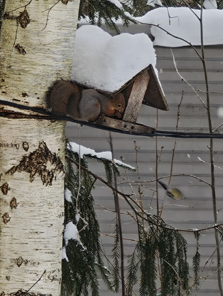 листайте галерею