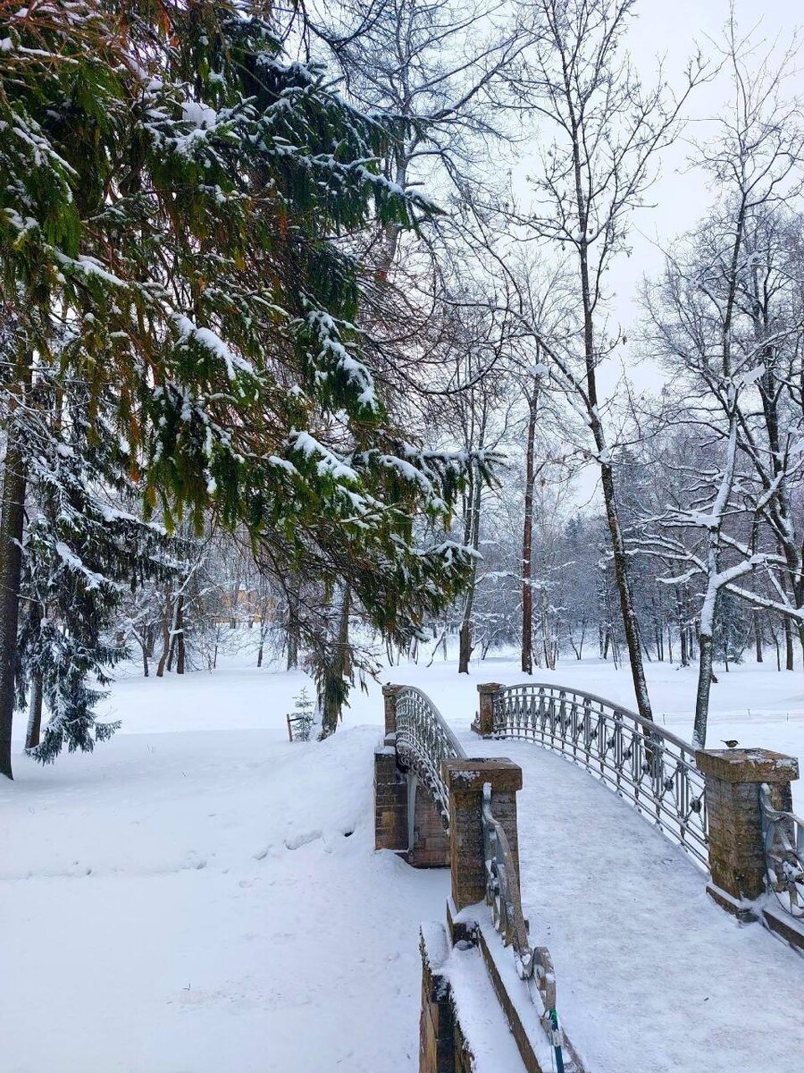 листайте галерею