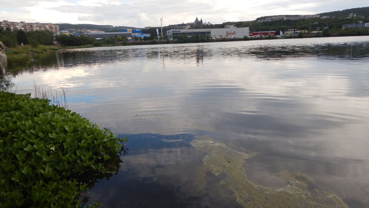 Оз. Ледовое