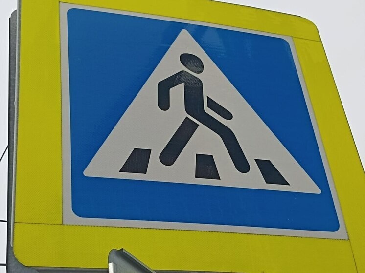     Активисты рассказали, как вести себя на дорогах с помощью специальных табличек. Фото: Архив МК в Великом Новгороде