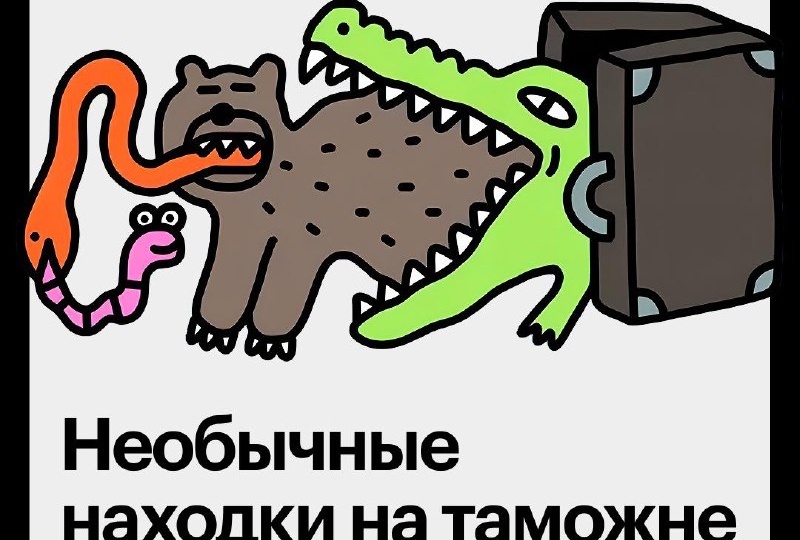 — Запрещенное что-нибудь везете