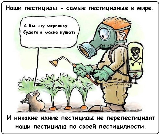 Фото: pp.userapi.com