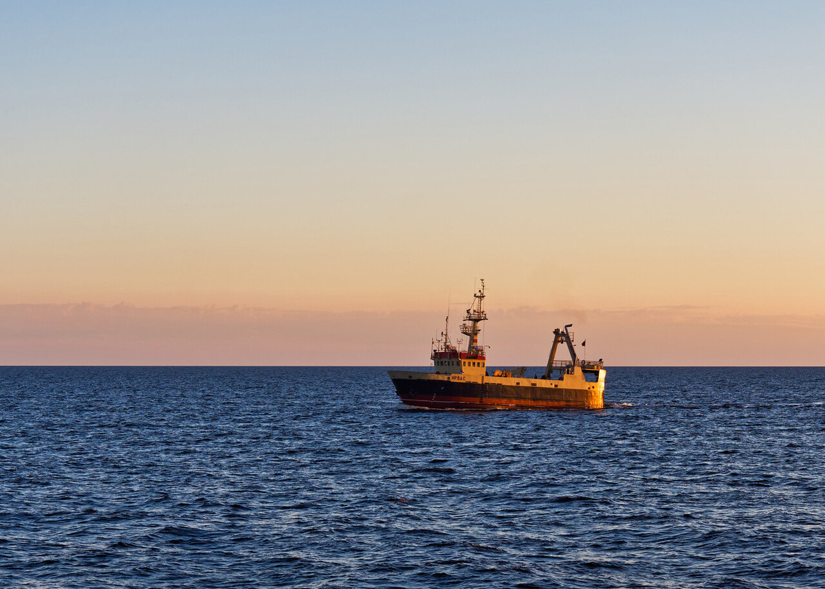    Фото: Flickr/Alex Malov