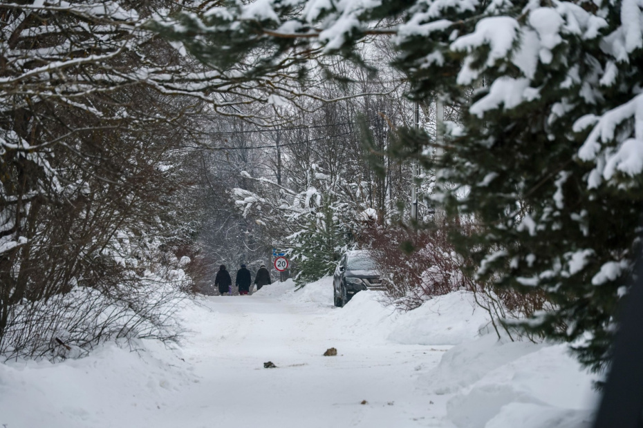    Алексей Белкин/NEWS.ru