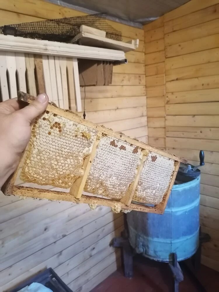 Эксперементальная рамка без лески для мёда в сотах. 