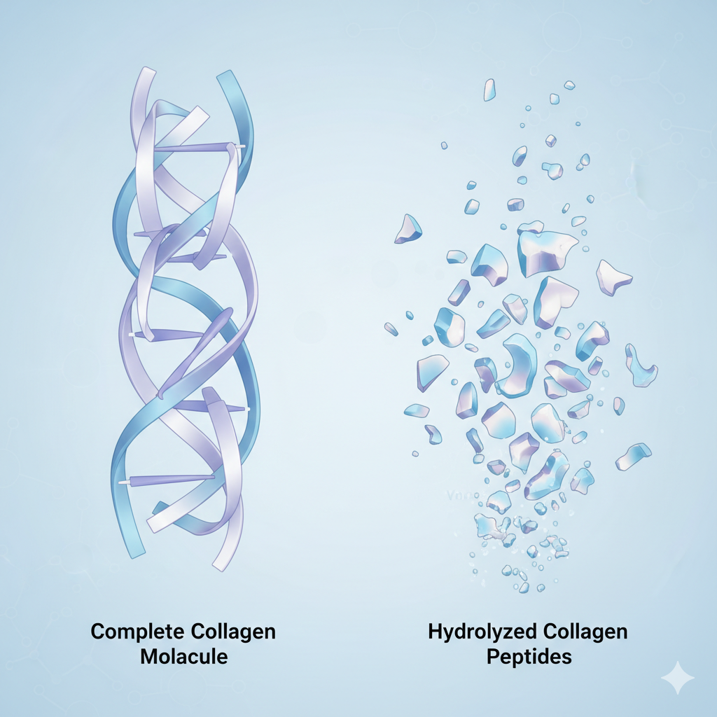 Гидролизированный коллаген