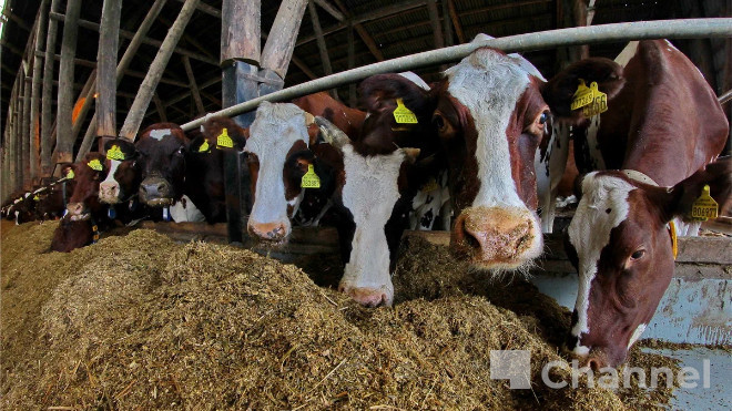 Фото: Анастасия Илюшина/47channel, архив