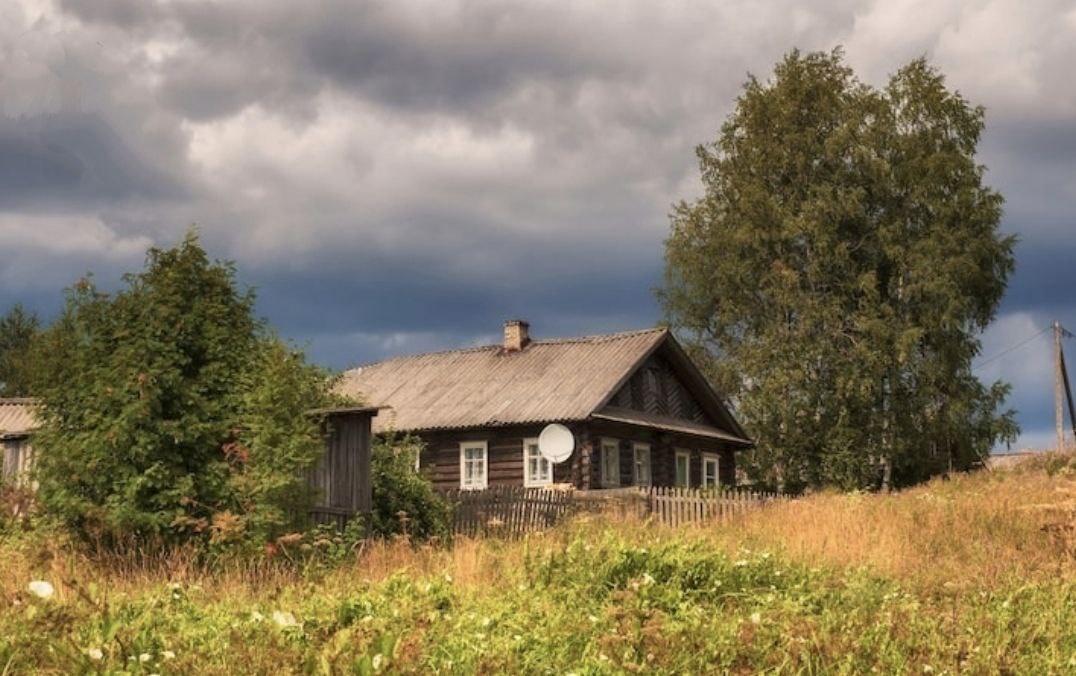 Фото: freepik / нейросеть Reve