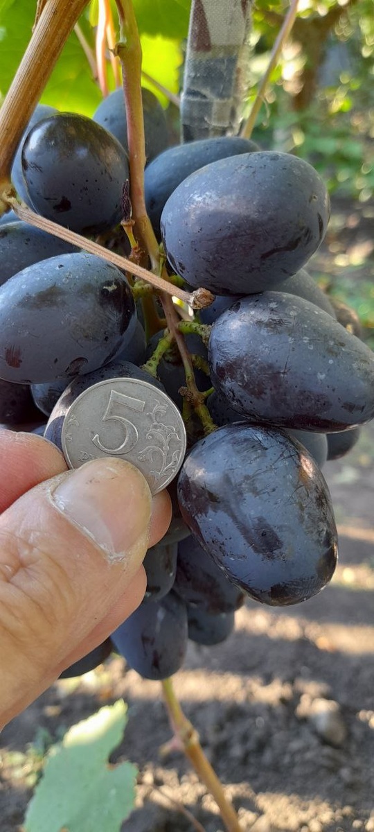 Черный кристалл. Фото автора.