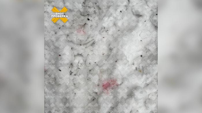 Собака чуть не погибла в Петербурге из-за яда догхантера в куске курицы. Фото © Telegram / SHOT ПРОВЕРКА