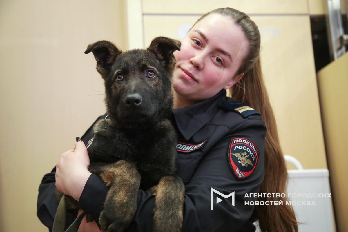 Фотограф: Артур Новосильцев