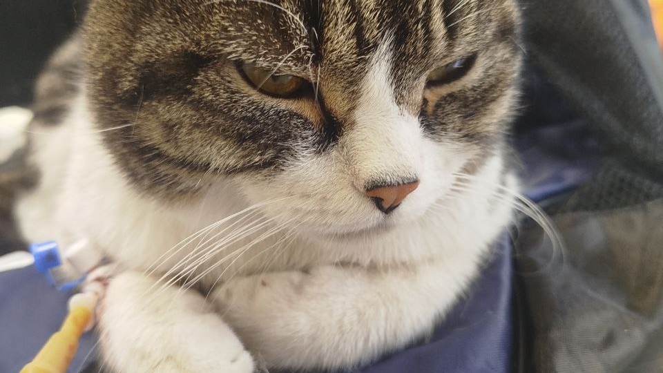 "Сговорились все вокруг, безнадёги замкнут круг, а удача ходит стороной"