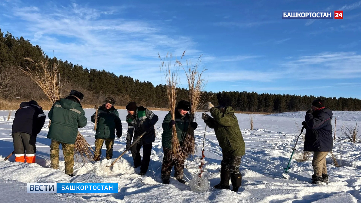    Инспекторы Природного парка «Аслы-Куль» проводят мероприятия по спасению ихтиофауны