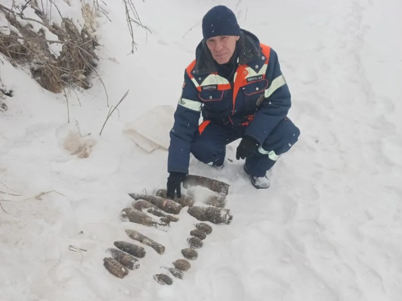     © фото - ГУ МЧС по Курской области