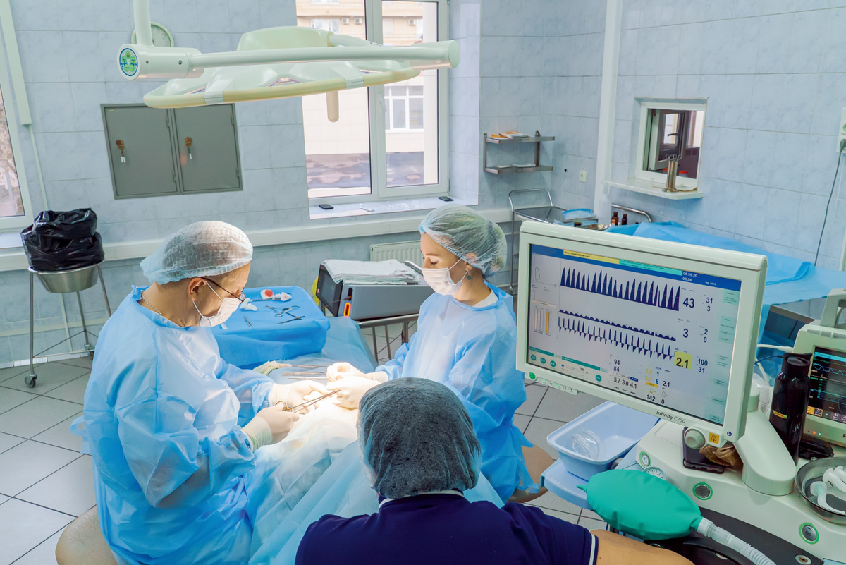 Фото: Алексей Зеленин/НИИОЗММ и пресс-служба ДГКБ им. Н. Ф. Филатова
