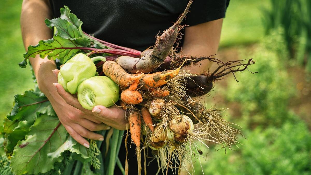    Фото: Shutterstock