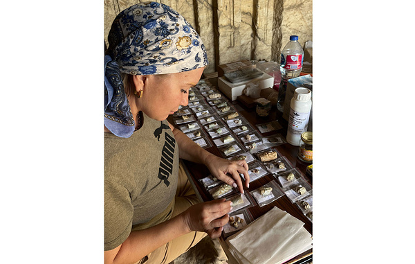 Официальный сайт Института востоковедения РАН