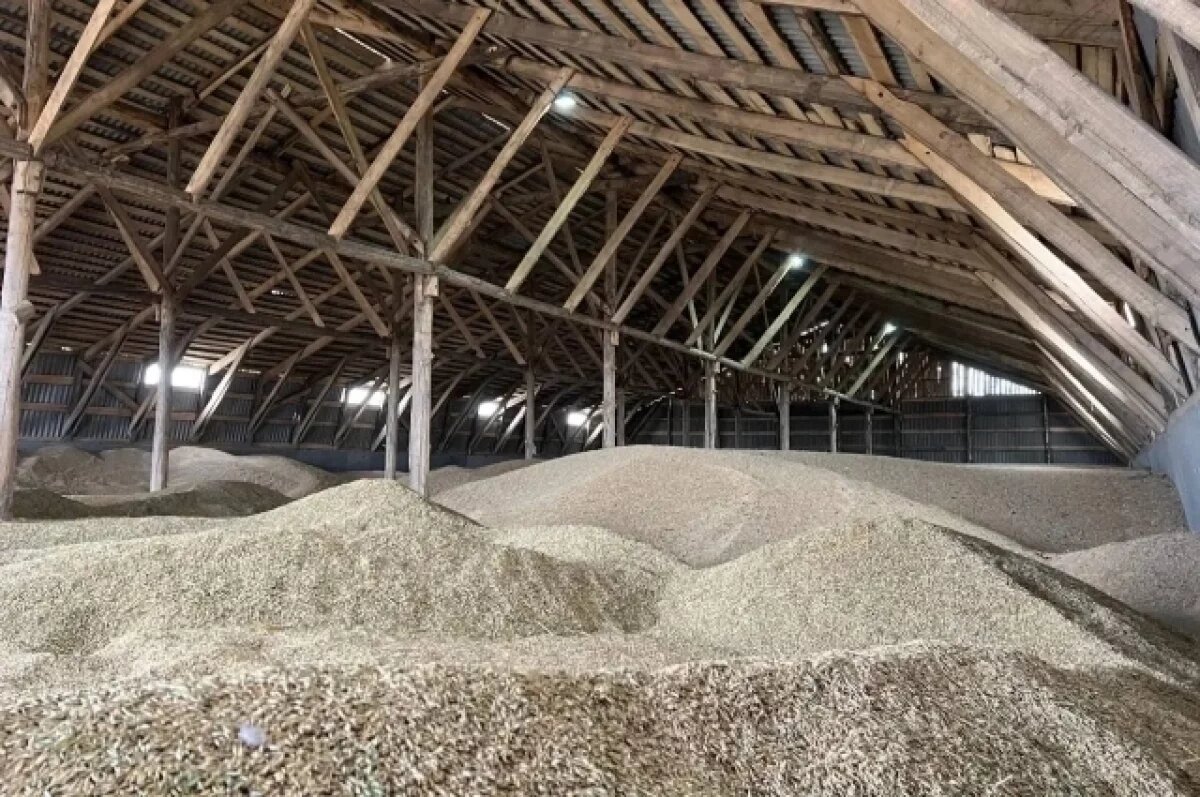    Фермеров Бурятии призвали закупать семена заранее из-за нехватки овса