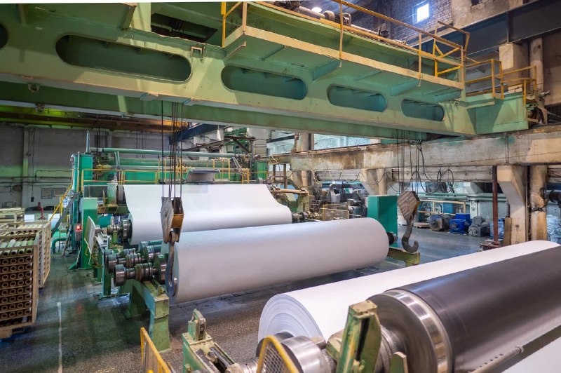    фото: © Управление труда и занятости Карелии