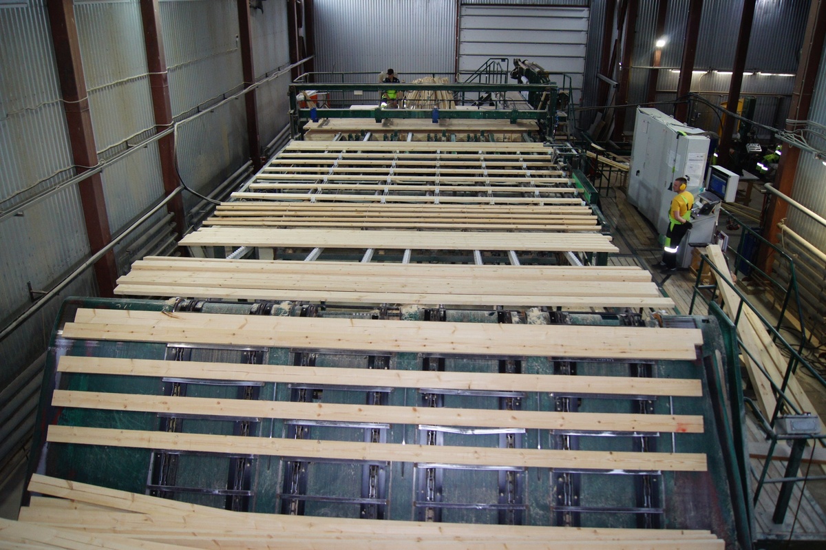    В Карелии пройдет опрос работодателей о потребности в кадрах© Управление труда и занятости Карелии