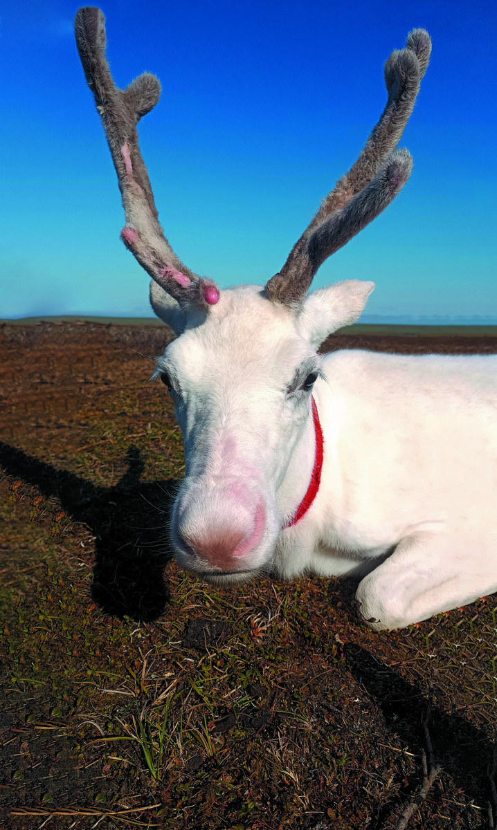 фото из личного архива Нензко Окотэтто