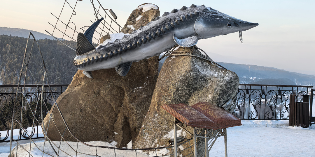 Остановка, которую нельзя пропустить: Царь-рыба на краю обрыва над Енисеем