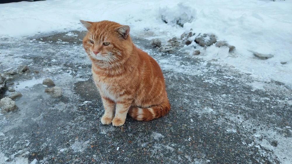 Фото и видео Регины СТЕПАНЯК.