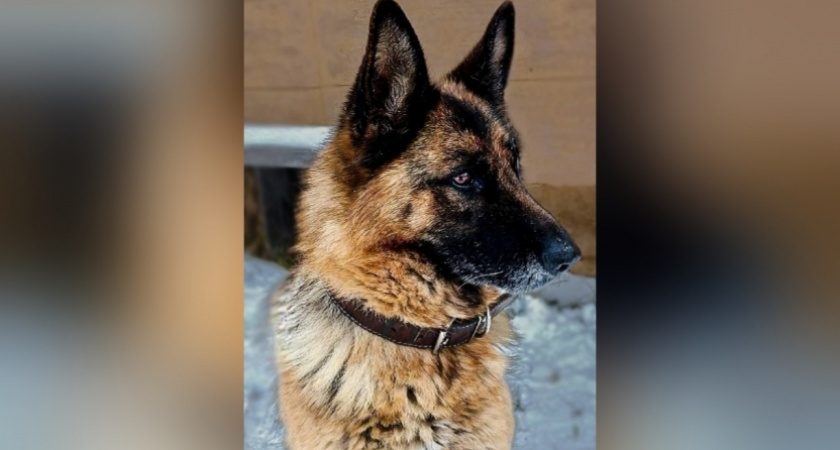    Фото УФСИН России по Кировской области