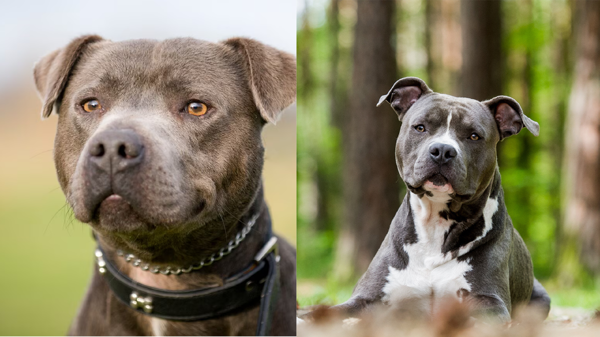 Фото для иллюстрации