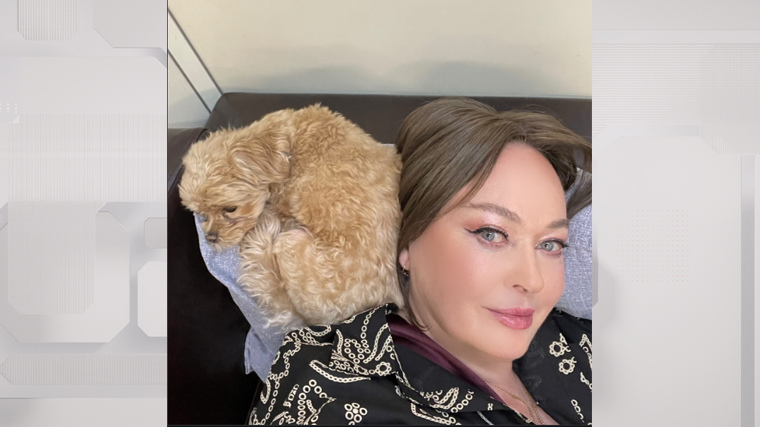    Фото: «Instagram*/_larisa_guzeeva_