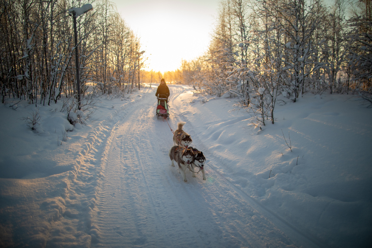 фото: Булат Закиров