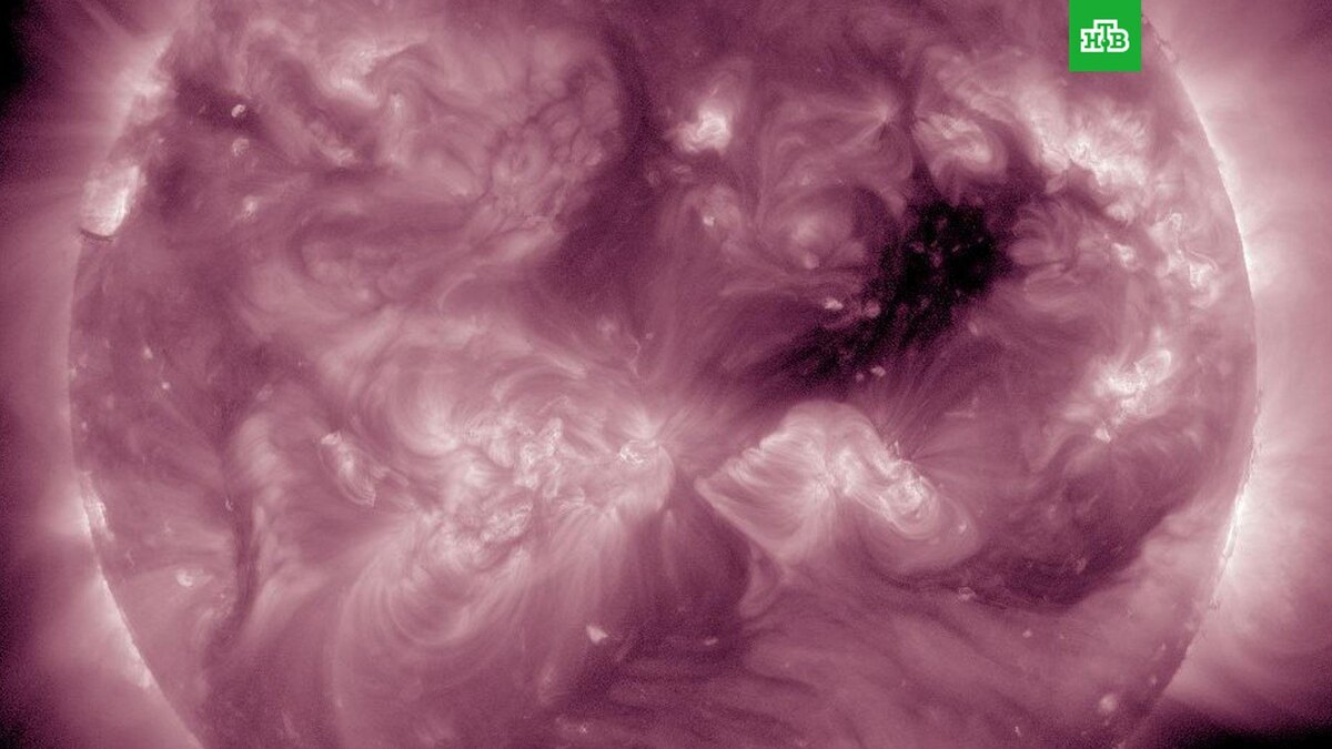    Фото: lpixras / t.me