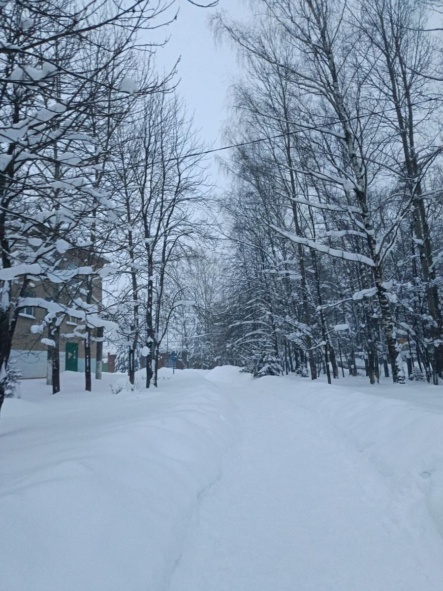 Зима - очень красивое время года ❄️❄️❄️