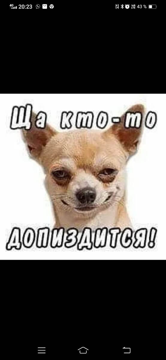 Конечно тематической картинки нет....но есть такая. Фото из открытых источников 