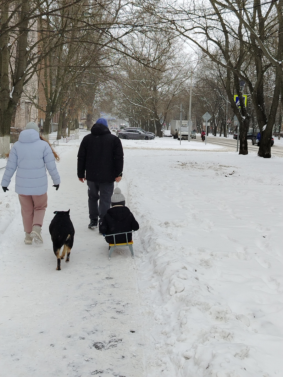   Я шла по улице и вдруг "включилась" в происходящее.                                      Знаете, когда перестаёшь думать обо всем на свете и сосредотачиваешься на том, что происходит здесь и сейчас.   Впереди меня шла семья. Мама, папа, сын и их собака. Папа тащил сына на санках, сын с интересом тыкал пальчиком в снег, собака охраняли свою "стаю". Они разговаривали о каких-то бытовых выщех, были страшно заняты и сосредоточены. А я смотрела на них и думала - какие же они счастливые! 