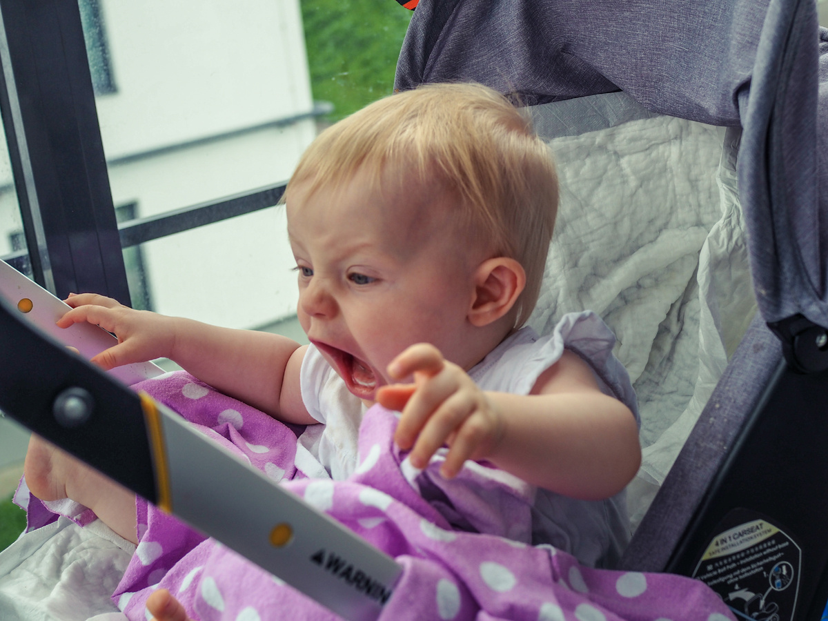 22 августа 2019 года. Василиса зовет Алису