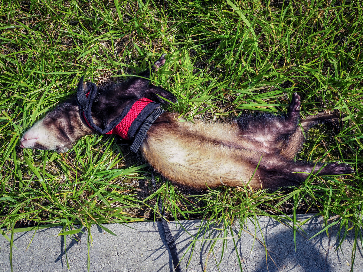 Вот оно блаженство!