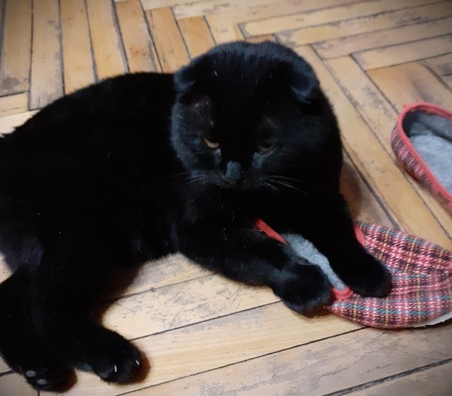 Фотография автора