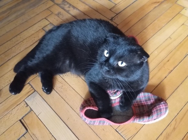 Фотография автора