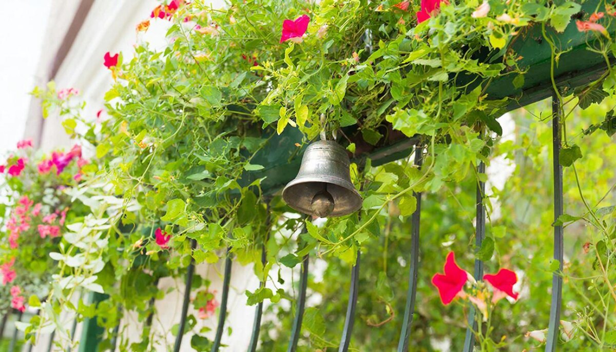 «Повесила музыку ветра, и соседи перестали шуметь». Как звук разгоняет энергию Ша