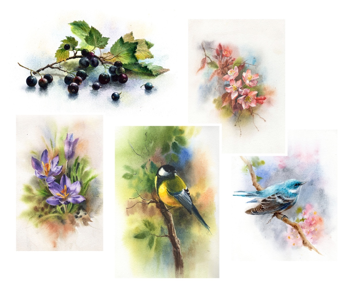 Очень хотела порисовать крокусы, но не успела, птиц не рассматривала к рисованию