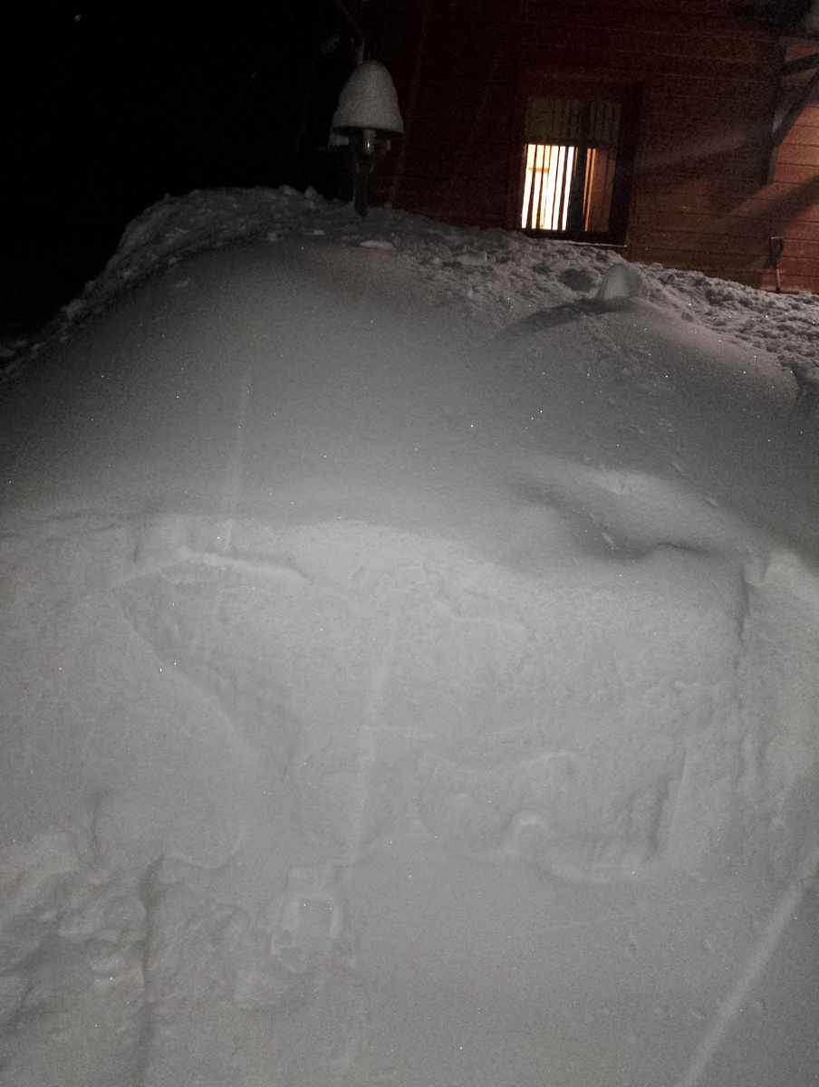 Личное фото.