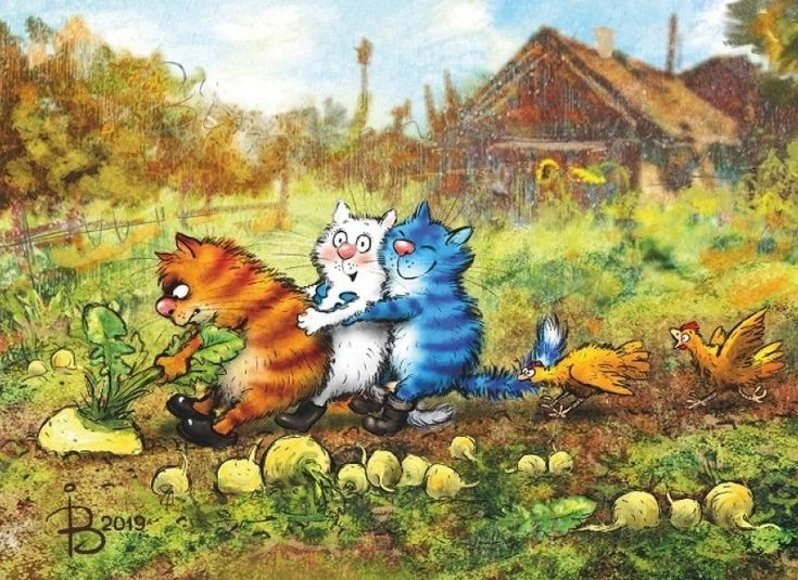 очаровательные коты Рины Зенюк