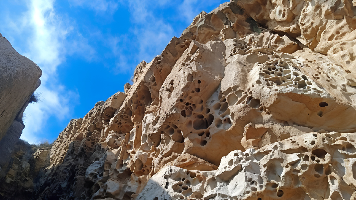 (Фото взято из открытых источников)