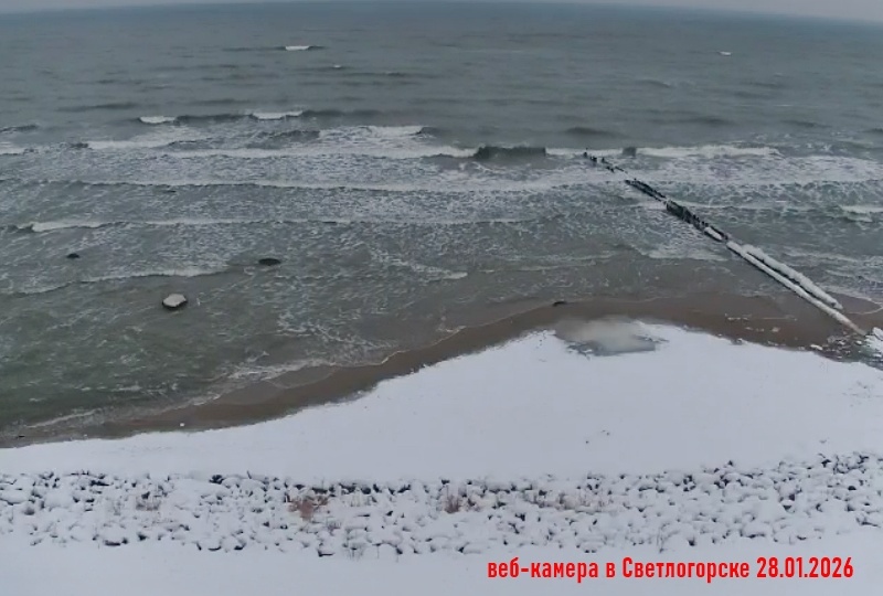 Какая-то аномальная зима наблюдается в курортном Светлогорске в январе 2026