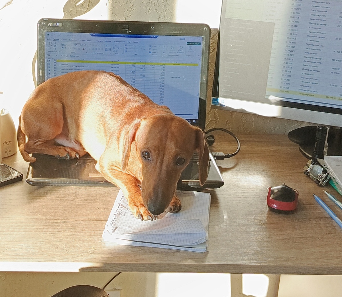 Когда работаешь дома и пошла за кофе на кухню