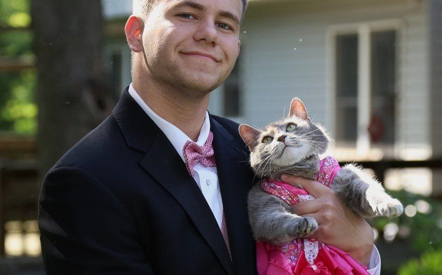 Одинокий выпускник пригласил на бал кошку