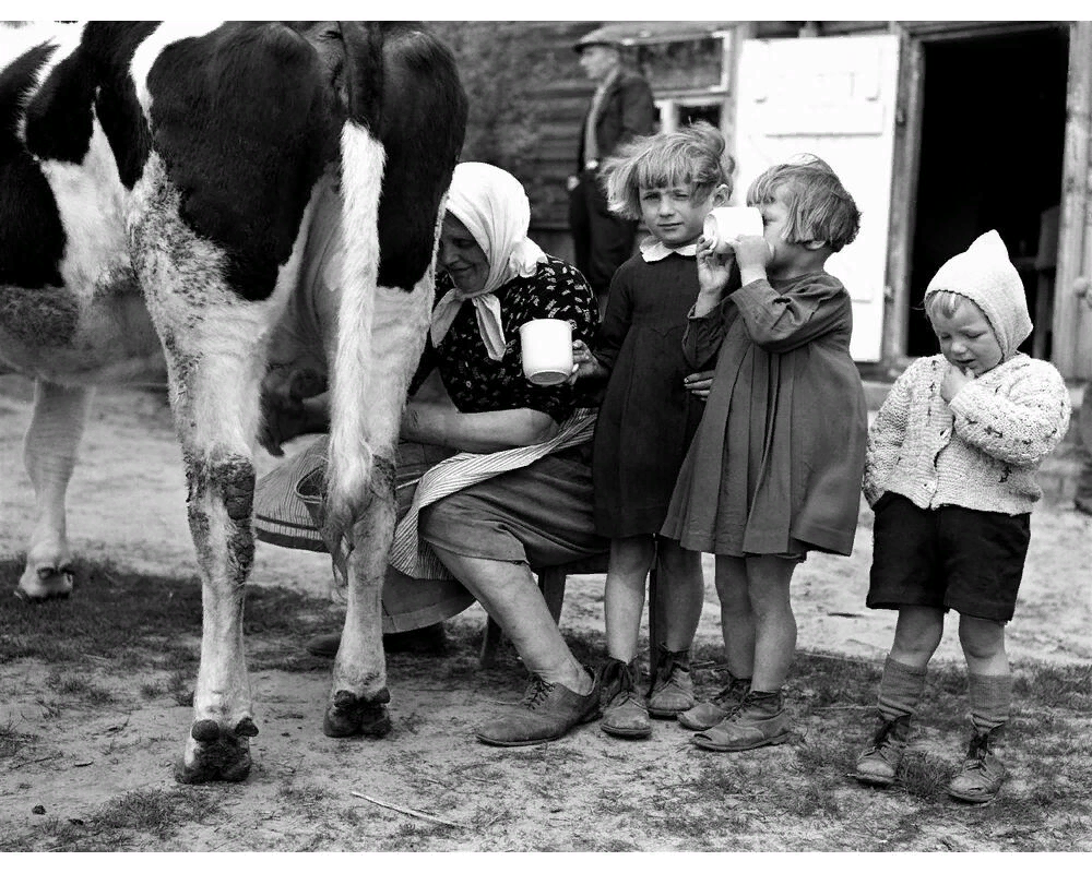 Фото с просторов всемирной паутины.