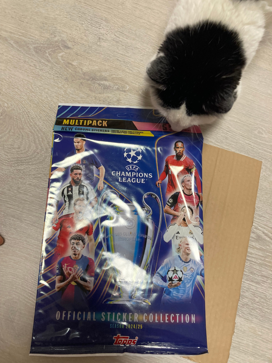 Набор упакован, подобно альбому в защитный чехол, внутри чехла проложена картонка