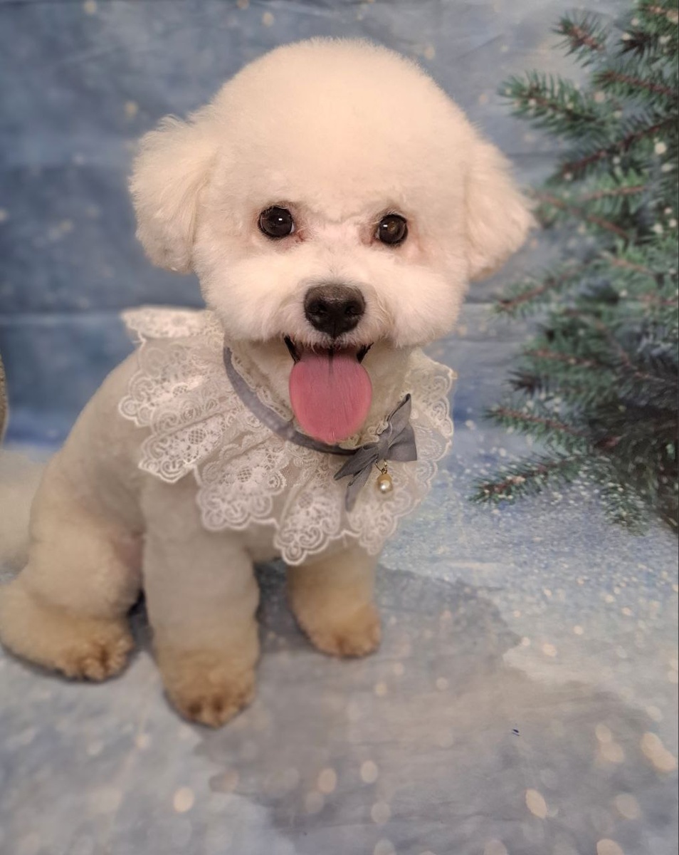 Моя радость 😀 